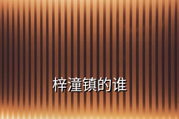 梓潼鎮(zhèn)的誰