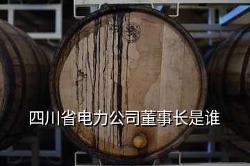 四川省電力公司董事長是誰