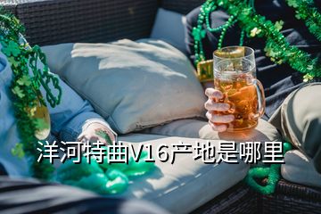 洋河特曲V16產(chǎn)地是哪里