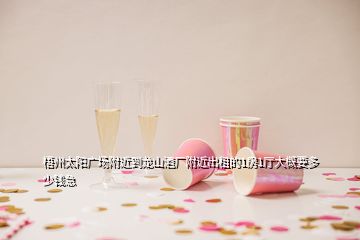 梧州太陽廣場附近到龍山酒廠附近出租的1房1廳大概要多少錢急