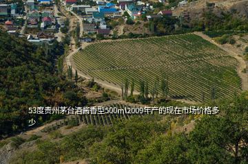 53度貴州茅臺(tái)酒醬香型500ml2009年產(chǎn)的現(xiàn)在市場(chǎng)價(jià)格多少