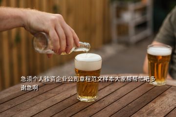 急須個人獨(dú)資企業(yè)公司章程范文樣本大家?guī)蛶兔Π啥嘀x急啊