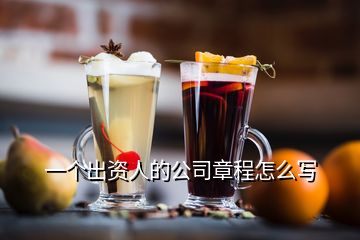 一個出資人的公司章程怎么寫