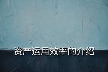 資產(chǎn)運用效率的介紹
