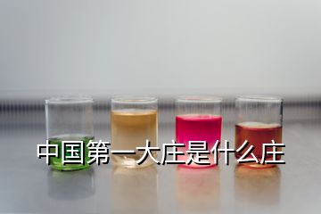 中國(guó)第一大莊是什么莊