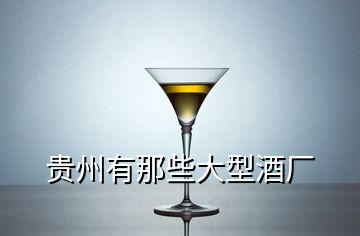貴州有那些大型酒廠(chǎng)