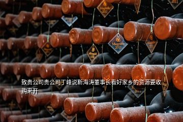 致貴公司貴公司丁峰說(shuō)靳海濤董事長(zhǎng)看好家鄉(xiāng)的資源要收購(gòu)來(lái)開(kāi)