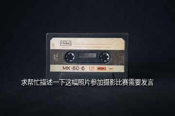 求幫忙描述一下這幅照片參加攝影比賽需要發(fā)言