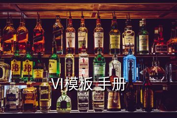 VI模板 手冊(cè)