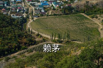 賴(lài)茅
