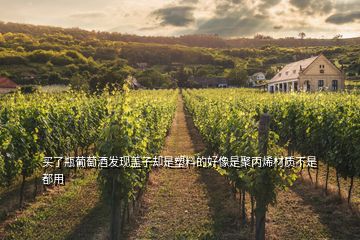 買了瓶葡萄酒發(fā)現(xiàn)蓋子卻是塑料的好像是聚丙烯材質(zhì)不是都用