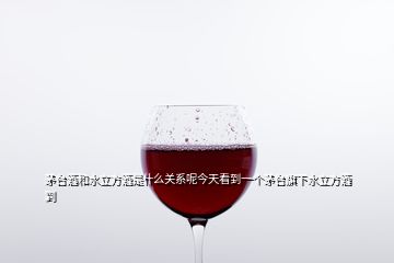 茅臺酒和水立方酒是什么關系呢今天看到一個茅臺旗下水立方酒到