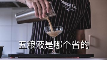 五糧液是哪個省的