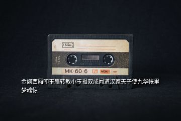 金闕西廂叩玉扃轉(zhuǎn)教小玉報雙成聞道漢家天子使九華帳里夢魂驚