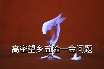 高密望鄉(xiāng)五險一金問題