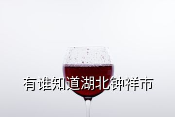 有誰(shuí)知道湖北鐘祥市