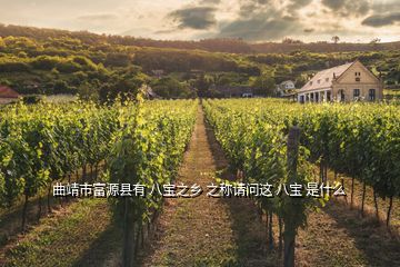 曲靖市富源縣有 八寶之鄉(xiāng) 之稱(chēng)請(qǐng)問(wèn)這 八寶 是什么