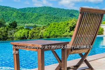 Boncourt Brandy XO 這個(gè)酒的中文名叫什么呢請教高手謝謝