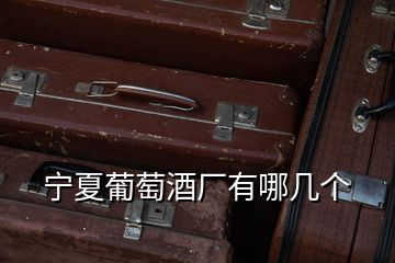 寧夏葡萄酒廠有哪幾個(gè)