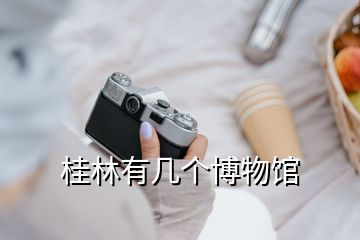 桂林有幾個博物館