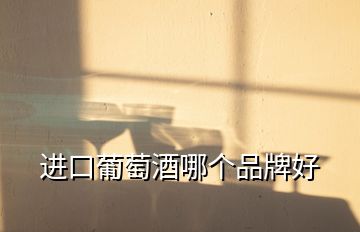進口葡萄酒哪個品牌好