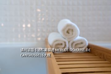 請問法國卡洛紅葡萄酒 MERLOT DOMAINE DE CANTAUSSELS大概