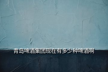 青島啤酒集團(tuán)現(xiàn)在有多少種啤酒啊