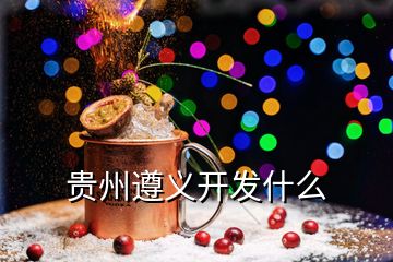 貴州遵義開(kāi)發(fā)什么