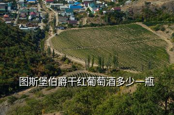 圖斯堡伯爵干紅葡萄酒多少一瓶