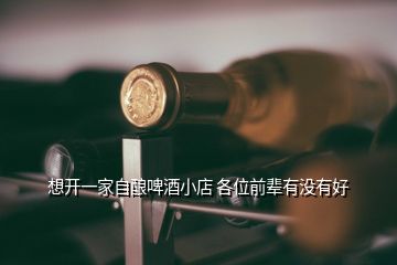 想開一家自釀啤酒小店 各位前輩有沒(méi)有好