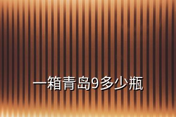 一箱青島9多少瓶