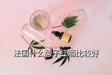 法國什么牌子紅酒比較好