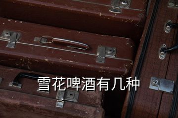 雪花啤酒有幾種