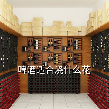 啤酒適合澆什么花