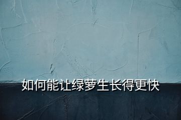 如何能讓綠蘿生長得更快