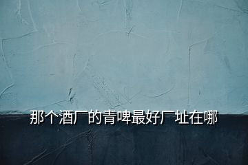 那個(gè)酒廠的青啤最好廠址在哪