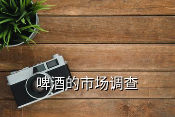 啤酒的市場(chǎng)調(diào)查