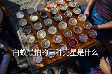 白蟻最怕的三種克星是什么