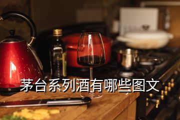 茅臺(tái)系列酒有哪些圖文