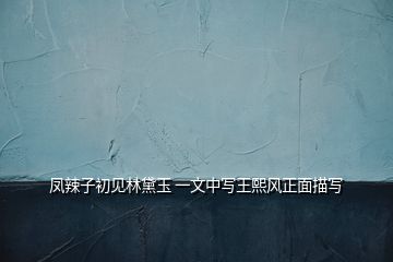 鳳辣子初見(jiàn)林黛玉 一文中寫(xiě)王熙風(fēng)正面描寫(xiě)