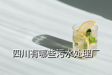 四川有哪些污水處理廠(chǎng)
