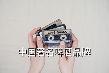 中國(guó)著名啤酒品牌
