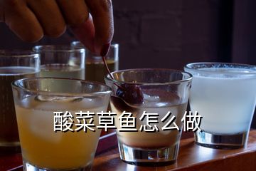 酸菜草魚(yú)怎么做