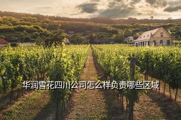華潤雪花四川公司怎么樣負責哪些區(qū)域