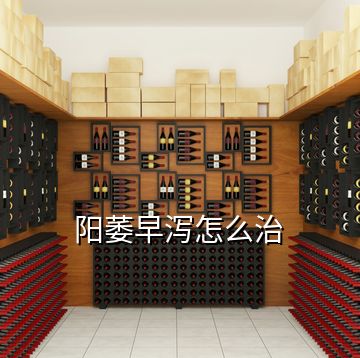 陽(yáng)萎早瀉怎么治