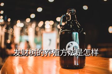 發(fā)財(cái)樹的養(yǎng)殖方法是怎樣