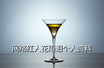 網(wǎng)絡(luò)紅人花雨淚個人資料