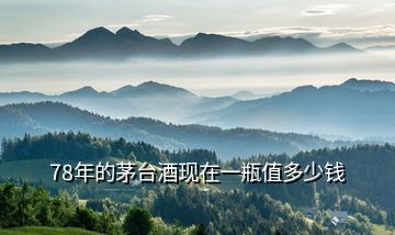 78年的茅臺酒現(xiàn)在一瓶值多少錢