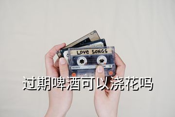 過(guò)期啤酒可以澆花嗎