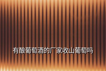 有釀葡萄酒的廠(chǎng)家收山葡萄嗎